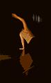 T-20140626-195814_P1560707-G aaaa-6